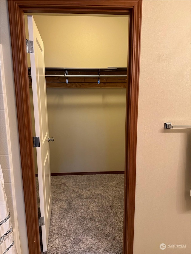 spacious closet featuring carpet