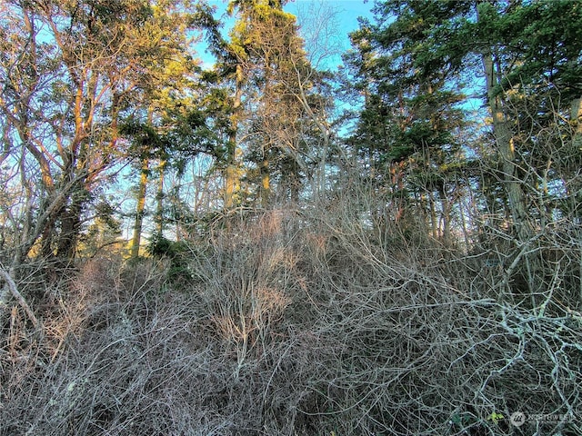 0 Sherman Prt, Townsend, WA 98368 - photo 4