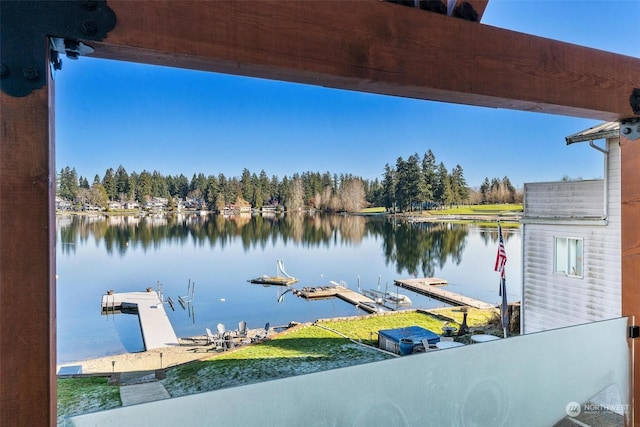 dock area with a water view