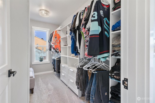 spacious closet featuring light colored carpet