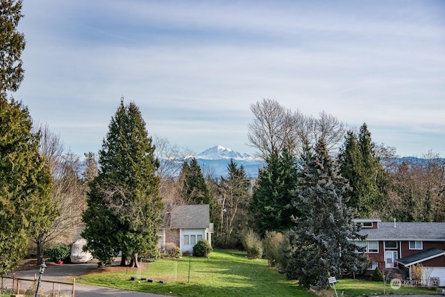 view of mountain feature