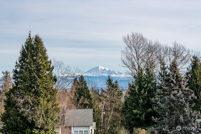 view of mountain feature