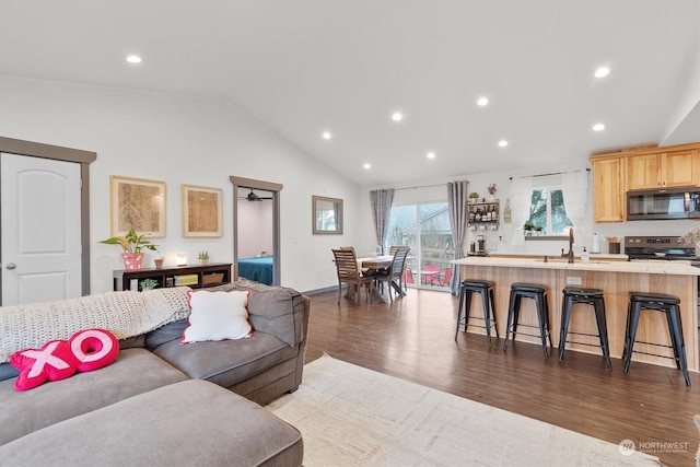 living room featuring vaulted ceiling, dark hardwood / wood-style flooring, and sink