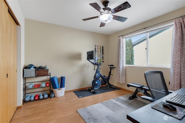 workout room with ceiling fan and light hardwood / wood-style flooring