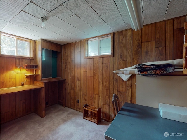 interior space featuring wood walls