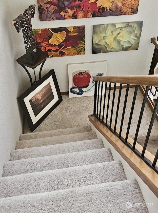 stairs with carpet