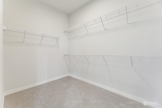 spacious closet with carpet flooring