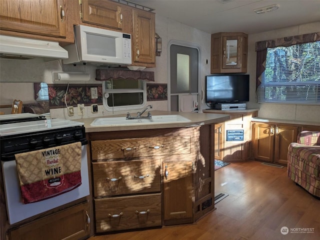 kitchen with light hardwood / wood-style floors and sink