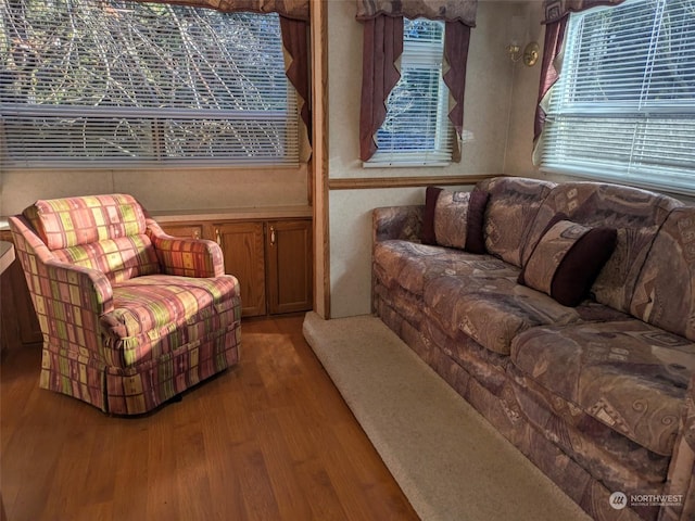 living room with wood-type flooring