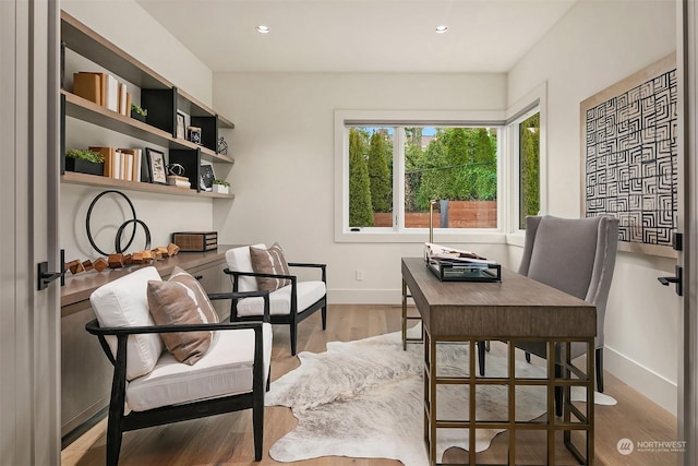 home office featuring light hardwood / wood-style floors