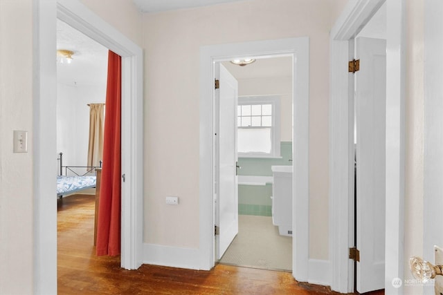 hall featuring wood-type flooring