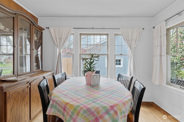 dining area featuring light hardwood / wood-style floors and a wealth of natural light