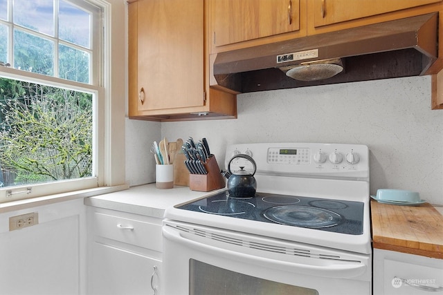 kitchen with a healthy amount of sunlight and electric range