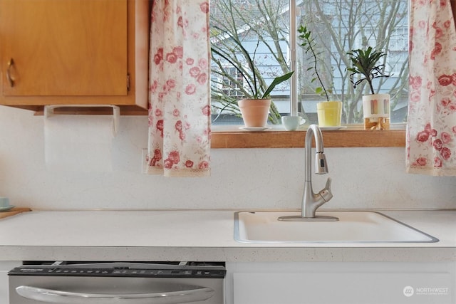 details featuring sink and stainless steel dishwasher