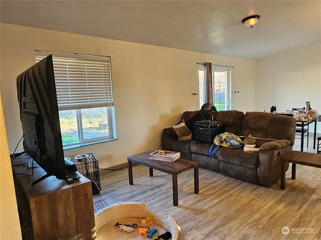 living room with light wood-type flooring