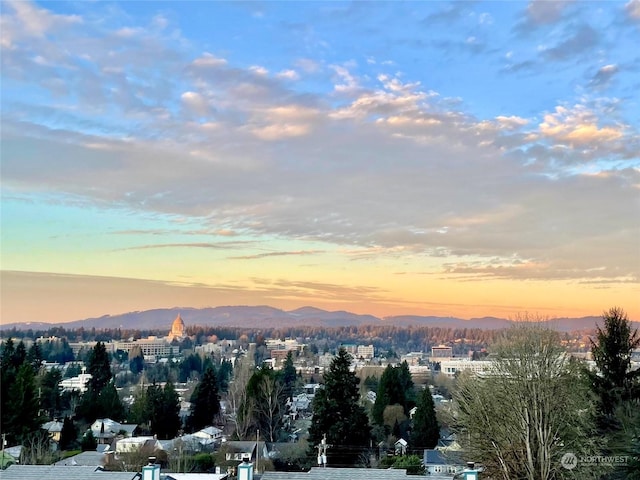 view of city with a mountain view