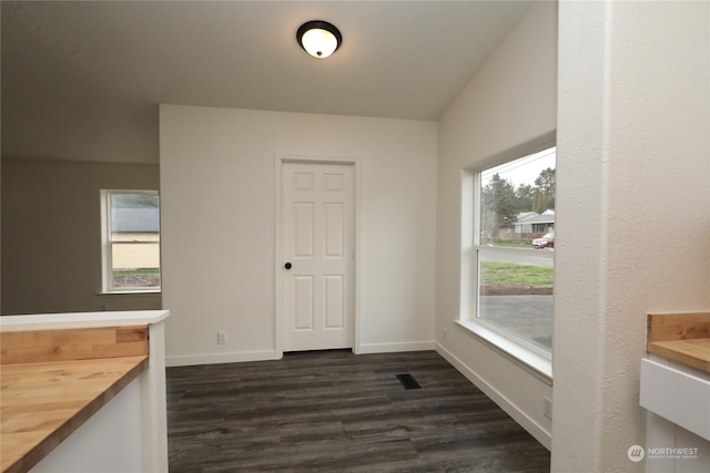 interior space featuring dark wood-type flooring