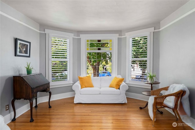 living area with light hardwood / wood-style flooring and a healthy amount of sunlight