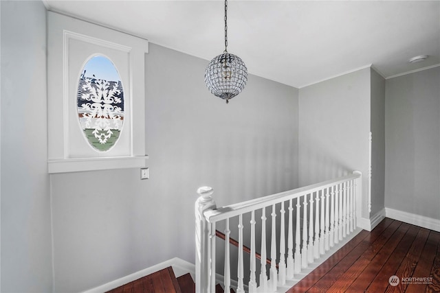 staircase with hardwood / wood-style flooring