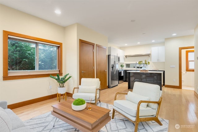 living room featuring light hardwood / wood-style flooring