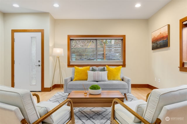 living room with light wood-type flooring