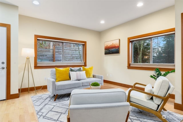 living room featuring light wood-type flooring