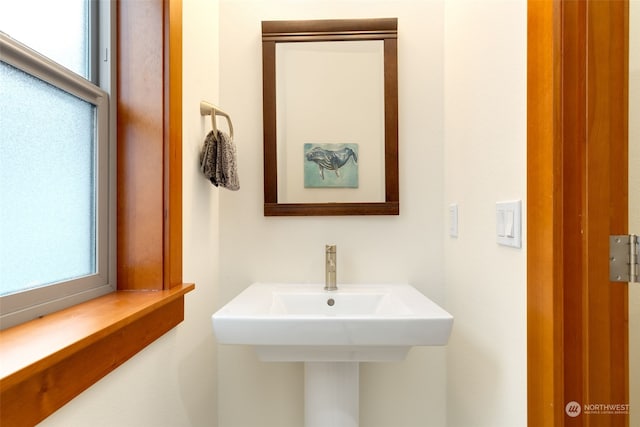 bathroom with a wealth of natural light