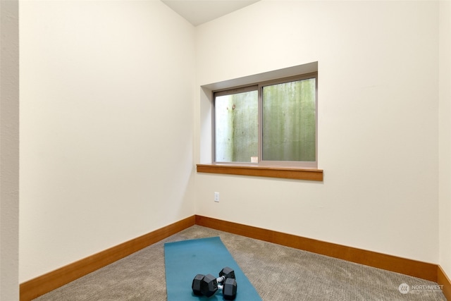 exercise room with carpet