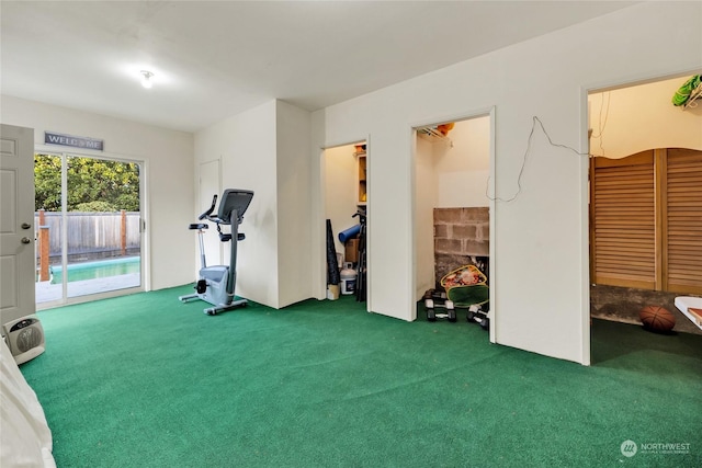 workout room featuring carpet