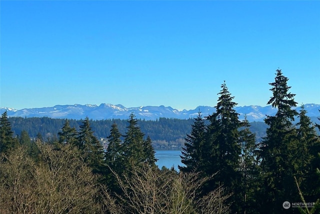 view of mountain feature featuring a water view