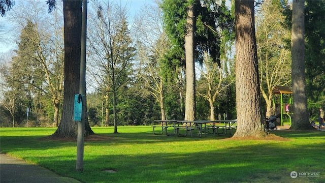 view of home's community featuring a yard