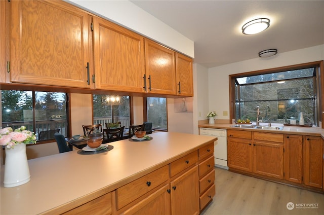 kitchen featuring dishwasher, light countertops, a sink, and light wood finished floors