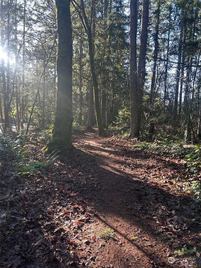 view of road featuring a forest view