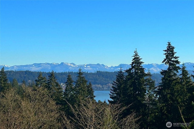 property view of mountains featuring a wooded view