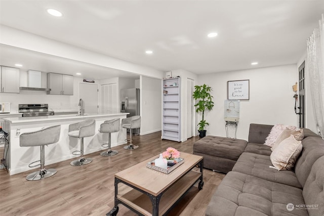 living room featuring light hardwood / wood-style floors and sink