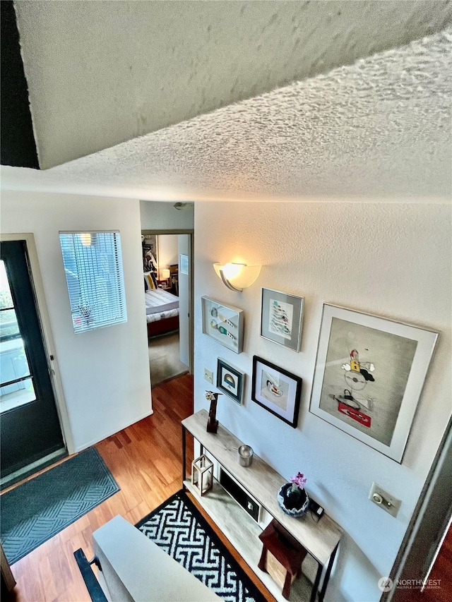 foyer with wood-type flooring