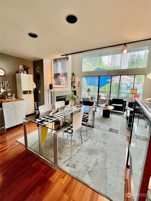 living room featuring hardwood / wood-style flooring