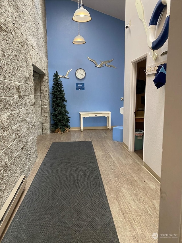 hallway with hardwood / wood-style floors and a baseboard radiator