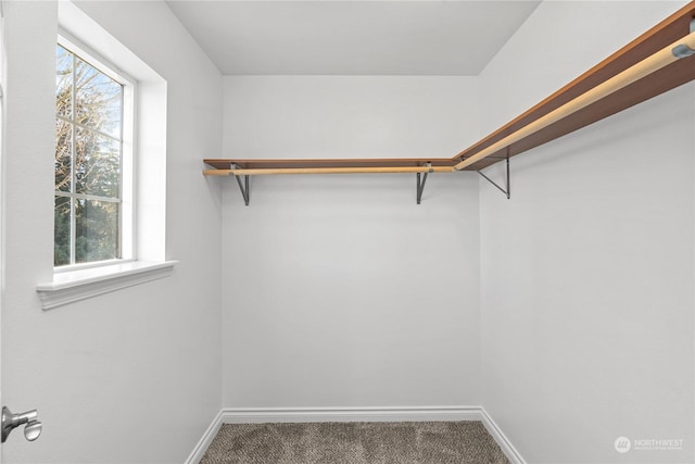 spacious closet with carpet