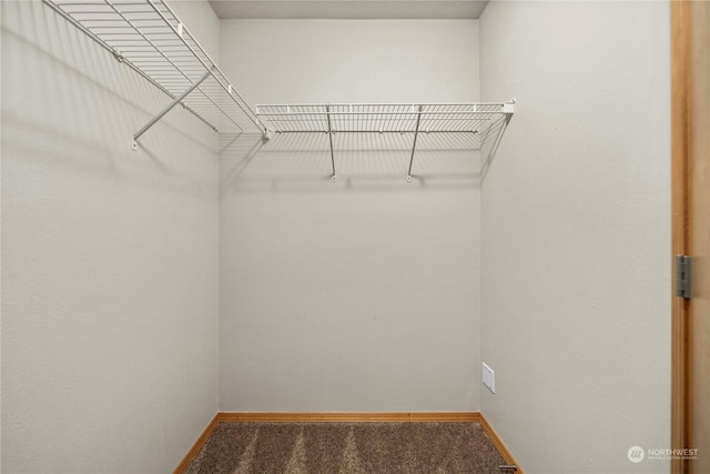 spacious closet with carpet floors