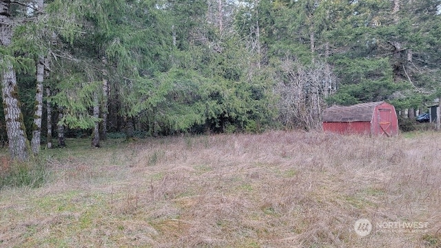 view of local wilderness