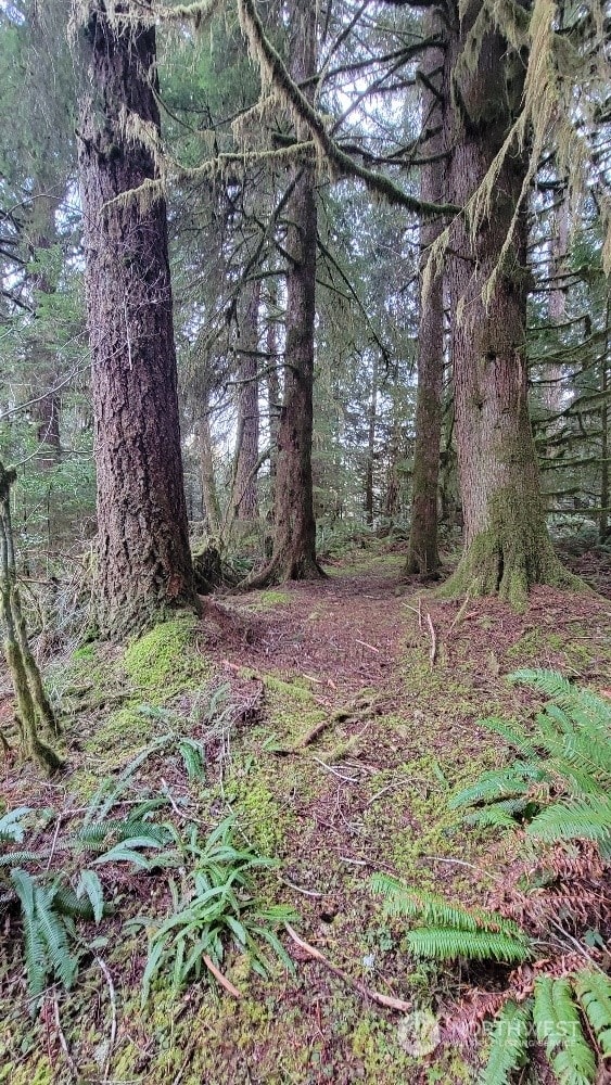 view of landscape