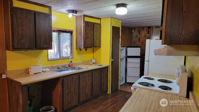 kitchen with white appliances, dark hardwood / wood-style floors, sink, and dark brown cabinets