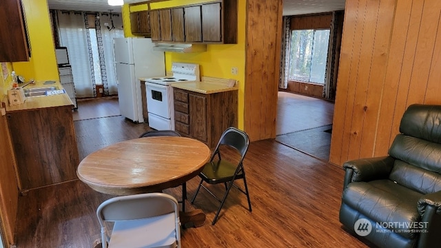 kitchen with hardwood / wood-style flooring, white appliances, sink, and wood walls