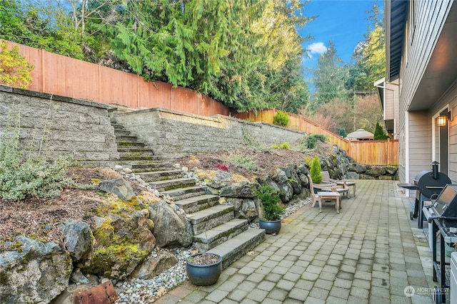 view of patio featuring area for grilling