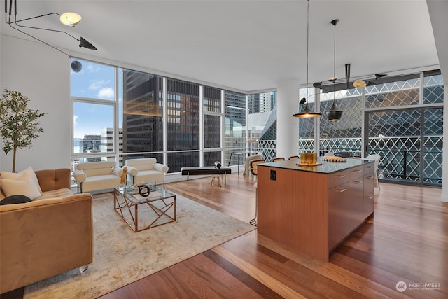 living room featuring expansive windows and light hardwood / wood-style floors