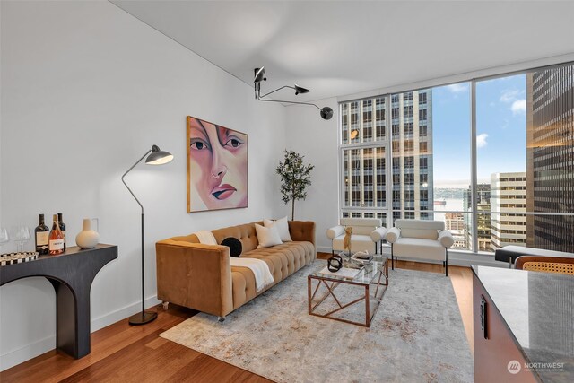 living room with wood-type flooring and expansive windows