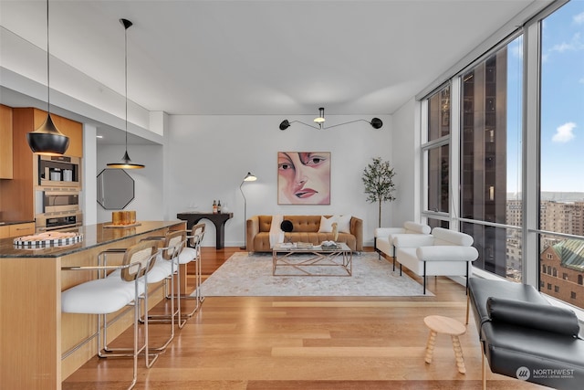 living room with expansive windows and light hardwood / wood-style flooring