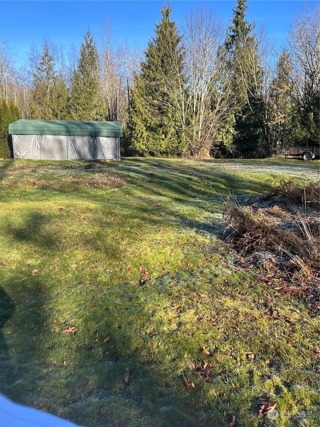 view of yard with an outdoor structure