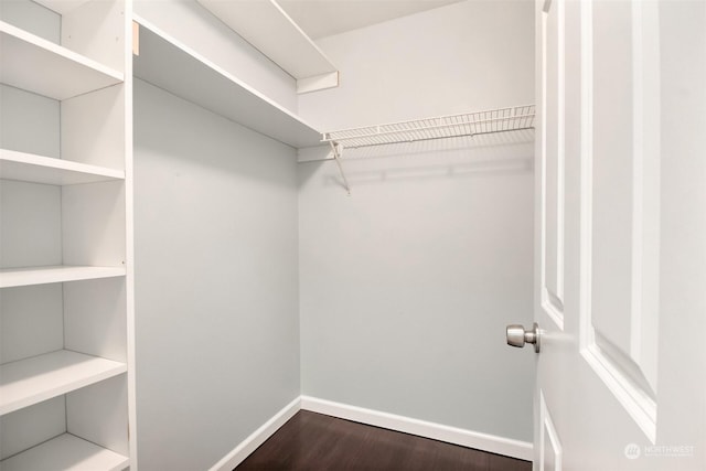 walk in closet featuring dark wood-type flooring